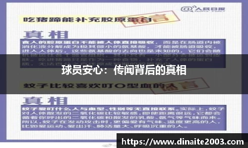 球员安心：传闻背后的真相