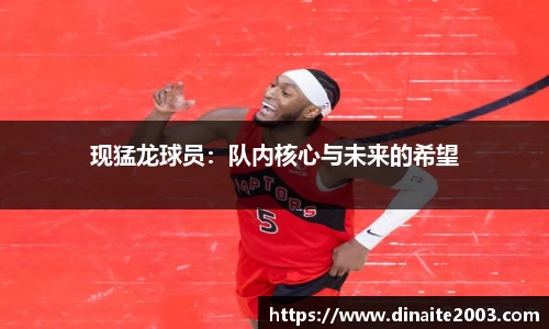 现猛龙球员：队内核心与未来的希望